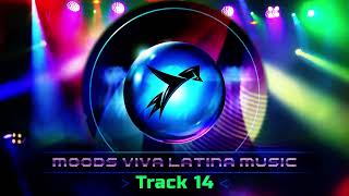 Viva LatinaTrack 14 The Best Latin Electronic Rhythms [upl. by Lyndel102]