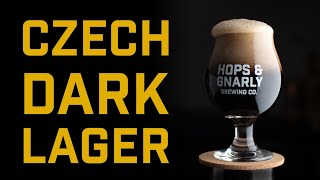 How to Brew a Czech Dark Lager  Brewtools B40  EP43 [upl. by Haimrej]