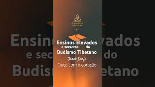 Ensinos elevados do Tibet budismo shorts budismotibetano [upl. by Akihc]