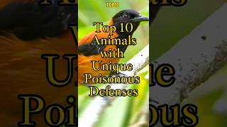 Top 10 Animals with Unique Poisonous Defenses [upl. by Damle]