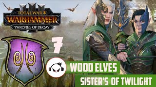 FOREST DRAGON CEITHINHAR  Total War Warhammer 3 IE Part 7 Sisters of Twilight Campaign [upl. by Mayfield]