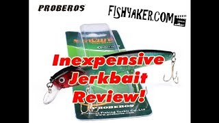 Inexpensive Proberos Jerkbait Fishing Lure Review Episode 642 [upl. by Araccat]