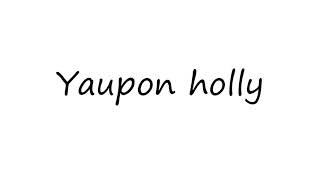 How to Pronounce Yaupon holly [upl. by Kirstin]