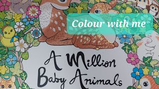 Colour with me in Lulu mayos A Million Baby Animals  Polar Bear Globe [upl. by Teryl]