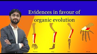 Evidences in favour of organic evolution UrduHindi Part 1 [upl. by Buffum]