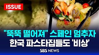 quot뚝뚝 떨어져quot 스페인 멈추자…한국 파스타집들도 비상 이슈라이브  SBS [upl. by Whale]