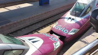 RENFE Avlo doble saliendo de Lleida [upl. by Jew156]