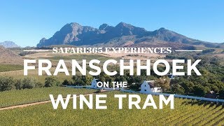 Franschhoek Wine Tram South Africa  Safari365 [upl. by Amar919]