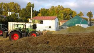 Mais Ernte 2013 häckseln für Biogasanlage Hennenweidach Teil 2HD [upl. by Riggall]