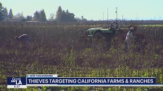 Thieves targeting California farms ranches [upl. by Hajidahk]