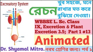 WBBSE Class 9 L Sc Chapter3 Biological Process Excretion Plant Excretion DR Shyamal Mitra [upl. by Ojillek579]