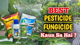 Best Pesticides And Fungicides For Plants In Hindi Pesticides Fungicide Using Guide [upl. by Annej]