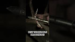 BEST EXPANDABLE BROADHEAD  Rek HXP Putting them down [upl. by Phenice163]