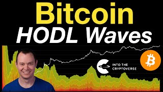 Bitcoin HODL Waves [upl. by Let]