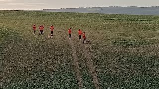 chasse sangliers cerfs chevreuils 4eme journée à la traque beaucoup danimaux vus [upl. by Pembroke285]