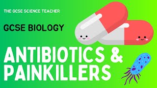 GCSE Biology Antibiotics and Painkillers  AQA OCR Edexcel [upl. by Illyes]