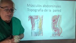 Músculos del abdomen Prensa abdominal maniobra de Valsalva [upl. by Ycniuqed]