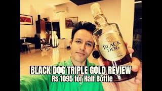 BLACK DOG REVIEW [upl. by Laup]