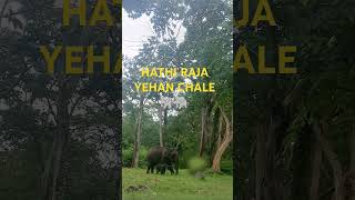 HATHI MERA SATHI hathi forest [upl. by Tirza7]