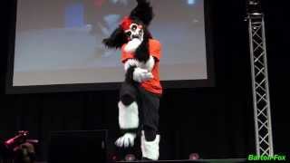 Anthrocon 2013  Dance Competition  Flinch [upl. by Leif]