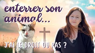 Estce que jai le droit denterrer mon chat dans le jardin [upl. by Ber]