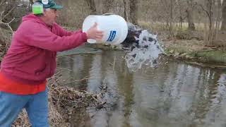 Pennsylvania Trout Stocking Begins Statewide 2023 [upl. by Arrehs779]