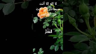 لا إله إلا انت سبحانه انني كنت من الضالمين [upl. by Anev]