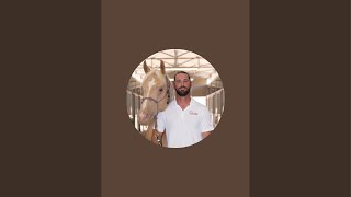 Sport Horse Chiropractic Dr Mike Adney is live [upl. by Amles]