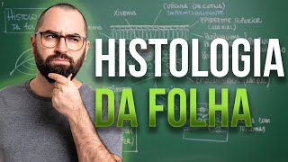 Histologia da Folha  Aula 10  Módulo 5 Botânica [upl. by Malony398]