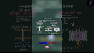 Understanding Diffusion Simple vs Facilitated Explained [upl. by Biagi]