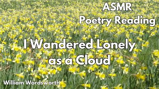 I Wandered Lonely As A Cloud Poetry Reading For Relaxation [upl. by Chapel]