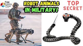 PAMATAY NA ROBOTIC ANIMALS Astig na Hayop na Naging ROBOT [upl. by Ellekram717]