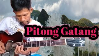 Pitong Gatang  Regene Nueva Sr Fingerstyle Cover [upl. by Sura]