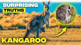 10 Incredible Facts About Kangaroos  Australias Iconic Marsupials Revealed [upl. by Ysiad536]