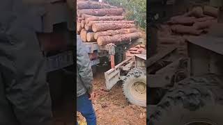 Preparation process before transporting logs [upl. by Tracie]