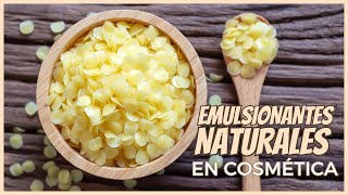 ¿Qué EMULSIONANTES MÁS NATURALES podemos comprar 🍯 🍃 Cosmética Natural [upl. by Tannen]