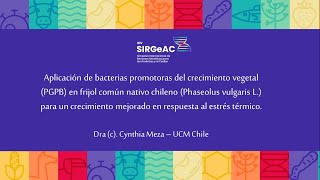 SIRGEAC 2023 Aplicación de bacterias promotoras del crecimiento vegetal PGPB en frijol común [upl. by Siderf]