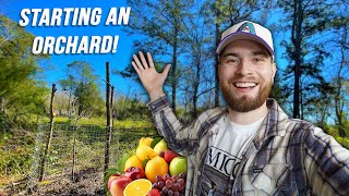 Starting A Food Forest On My Abandoned Property Zone 9 Texas [upl. by Ecnerrot]