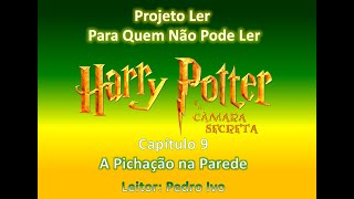 Capítulo 9 de Harry Potter e a Câmara Secreta  A Pichação na Parede [upl. by Renado941]