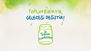 TOHUM BİRİKTİR GELECEĞİ DEĞİŞTİR  TOHUM KUMBARAMDA HANGİ TOHUMLARI BİRİKTİREBİLİRİM [upl. by Eojyllib159]