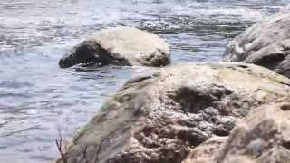 Wisconsin Lakes — Rainbow Flowage [upl. by Enyal623]