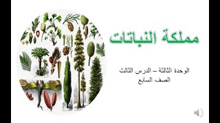 مملكة النباتات  الصف السابع [upl. by Safire]