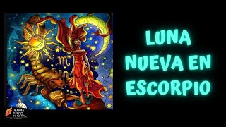 LUNA NUEVA en ESCORPIO [upl. by Etnom]