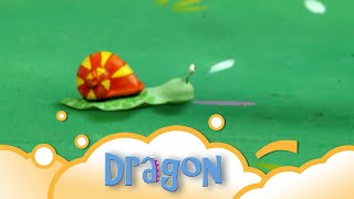 Dragon Dragon’s Snail S3 E14  WikoKiko Kids TV [upl. by Isnyl]