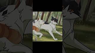 edit Brightheart Cloudtail and Swiftpaw warriorcats котывоители wc кв [upl. by Yerggoeg717]