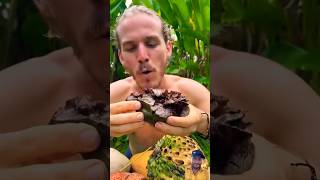 fruit fruitarianlifestyle pineapple jackfruit food foodie fruitarian kindhumans explore [upl. by Florina]