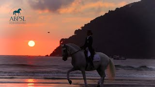 Historia do Cavalo Lusitano no Brasil [upl. by Aromas]