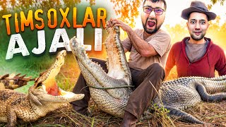 THE HUNTER COTW  TIMSOXLAR AJALI 2  UZBEKCHA LETSPLAY [upl. by Isherwood233]