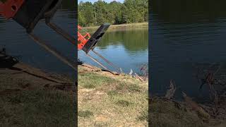 Pushing a pine tree into the pond with Kubota MX6000 kubota nature [upl. by Anihsit]