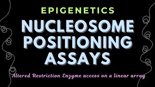 Altered Restriction Enzyme Access on a Linear Array  Epigenetics  GATECSIRNET [upl. by Nus]